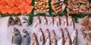 Uno de cada cinco pescados que compras no es lo que dice la etiqueta, según el último informe de la ONU