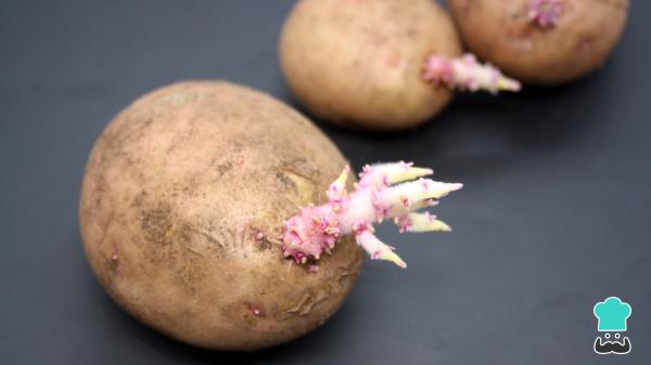 Una influencer desvela la manera de tener patatas gratis en casa con un truco que se ha vuelto viral en redes: "No vas a volver a comprar en el supermercado" - El sencillo truco para cultivar patatas en casa que está arrasando en redes y promete cambiar tu forma de comprar comida