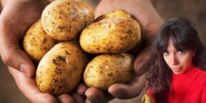 Una influencer desvela la manera de tener patatas gratis en casa con un truco que se ha vuelto viral en redes: "No vas a volver a comprar en el supermercado"