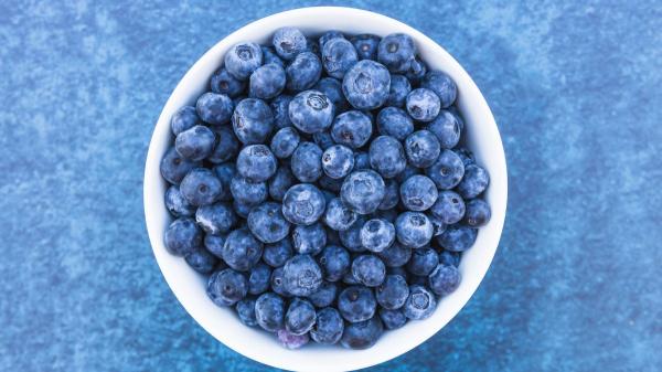 David Céspedes, experto en longevidad: “Arándanos, pescado azul, chía y melena de león pueden favorecer la creación de nuevas neuronas y mejorar la memoria” - Arándanos: los frutos ricos en antioxidantes que ayudan a proteger las neuronas