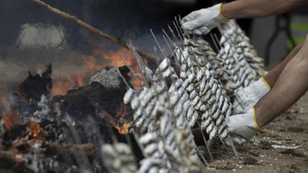 La Gran Espetada llega este fin de semana a Estepona con 350 kilos de sardinas: el truco de los espeteros para que queden jugosas - Cuál es el truco de los espeteros para que la sardina quede realmente jugosa