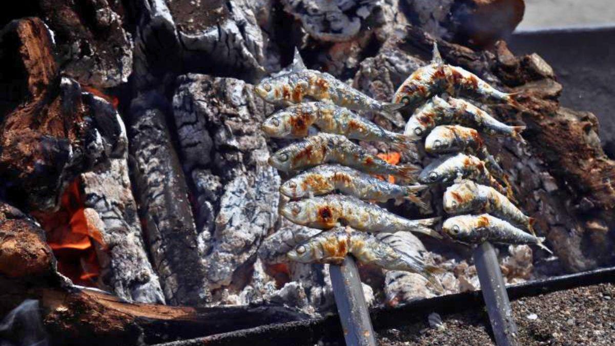 La Gran Espetada llega este fin de semana a Estepona con 350 kilos de sardinas: el truco de los espeteros para que queden jugosas