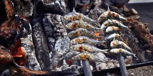 La Gran Espetada llega este fin de semana a Estepona con 350 kilos de sardinas: el truco de los espeteros para que queden jugosas