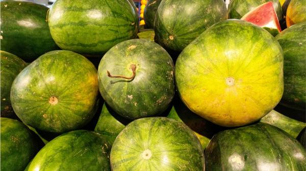 Ni el sonido ni el olor engañan: cómo elegir el melón y la sandía más dulces este verano - Si dudas entre dos piezas, el peso puede ayudarte a decidir