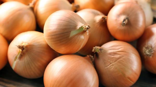 Cebolla blanca, morada o amarilla: cuál es la diferencia y cuál conviene usar en cada receta - Cebolla amarilla: la variedad más versátil para cocinar