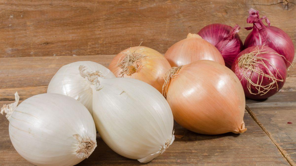 Cebolla blanca, morada o amarilla: cuál es la diferencia y cuál conviene usar en cada receta