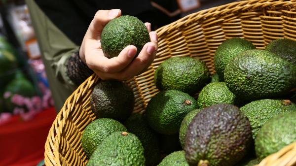 Raúl Cardaba, frutero: “Para saber si un aguacate está negro por dentro, no te fijes en el color, sino en si la piel se separa de la pulpa al tocarlo” - Raúl Cardaba muestra cómo saber si un aguacate estará negro por dentro antes de comprarlo