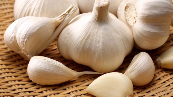 Los científicos coinciden: “No tires los ajos con brotes germinados, se pueden comer y tienen ventajas” - El error que cometemos casi todos al guardar ajos en casa