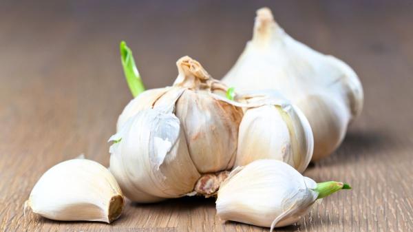 Los científicos coinciden: “No tires los ajos con brotes germinados, se pueden comer y tienen ventajas”