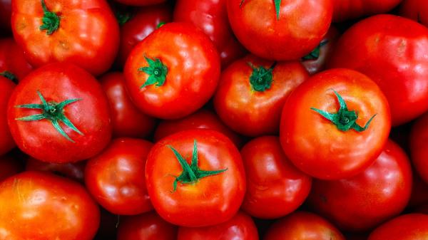 Roberto Bosquet, cocinero: “El mejor salmorejo sin pan y alto en proteínas se hace con 1 kg de tomates, 2 ajos y 3 huevos” - Cómo adaptar la textura, la temperatura y el sabor del salmorejo a tu gusto