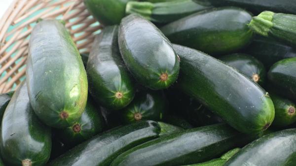 Joan Roca y Dani García, chefs con estrella Michelin: “En verano, la mejor manera de hacer calabacín es como si fueran espaguetis con esta salsa cremosa” - El truco de Joan Roca para convertir un simple calabacín en una receta de verano