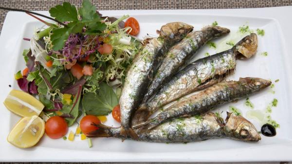 Sardinas, sardinillas y ‘xoubas’: en qué se diferencian, cuánto conviene comer y cómo sacarles partido en la cocina - Ideas para disfrutarlas mucho más allá de las tostadas