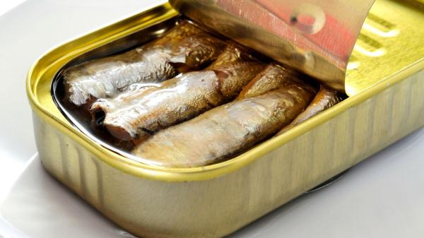 Sardinas, sardinillas y ‘xoubas’: en qué se diferencian, cuánto conviene comer y cómo sacarles partido en la cocina - Sardinas, sardinillas y ‘xoubas’: el mismo pescado con distintos nombres