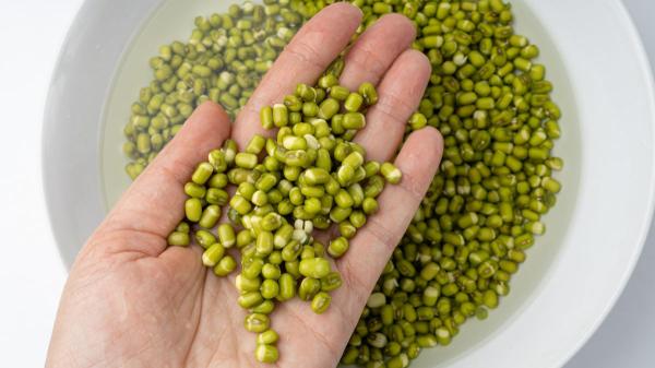 Pablo Ojeda, nutricionista: “Las legumbres no hinchan, el problema está en cómo las cocinas” - El error más frecuente: cocinarlas sin remojarlas antes